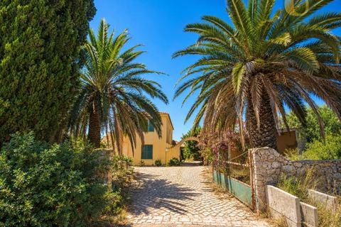 Farm i Guia, Faro, Guia - € 1.750.000 | Ref: QTA14269 - foto 2