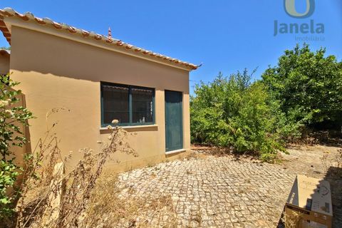 Farm i Guia, Faro, Guia - € 1.750.000 | Ref: QTA14269 - foto 7