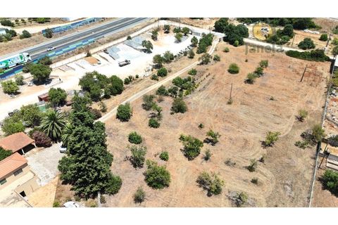 Farm i Guia, Faro, Guia - € 1.750.000 | Ref: QTA14269 - foto 21