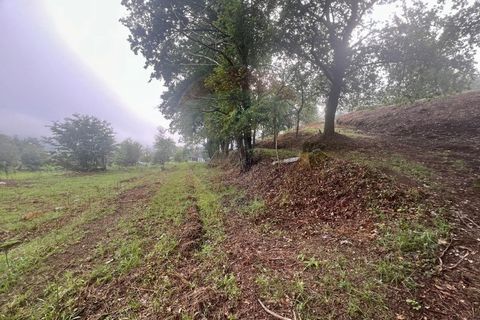 Helårsgrund i Ponte da Barca, Viana do Castelo, Ponte da Barca - € 130.000 | Ref: 126371012-211 - foto 2