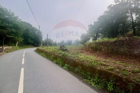 Helårsgrund i Ponte da Barca, Viana do Castelo, Ponte da Barca - € 130.000 | Ref: 126371012-211 - foto 9