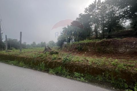 Helårsgrund i Ponte da Barca, Viana do Castelo, Ponte da Barca - € 130.000 | Ref: 126371012-211 - foto 10