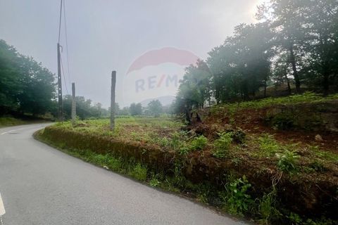 Helårsgrund i Ponte da Barca, Viana do Castelo, Ponte da Barca - € 130.000 | Ref: 126371012-211 - foto 11