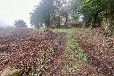 Helårsgrund i Ponte da Barca, Viana do Castelo, Ponte da Barca - € 130.000 | Ref: 126371012-211 - foto 15