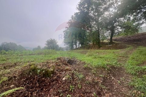 Helårsgrund i Ponte da Barca, Viana do Castelo, Ponte da Barca - € 130.000 | Ref: 126371012-211 - foto 16