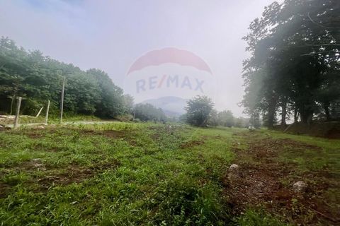 Helårsgrund i Ponte da Barca, Viana do Castelo, Ponte da Barca - € 130.000 | Ref: 126371012-211 - foto 17