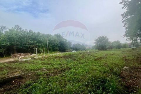 Helårsgrund i Ponte da Barca, Viana do Castelo, Ponte da Barca - € 130.000 | Ref: 126371012-211 - foto 19