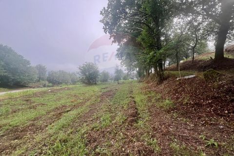 Helårsgrund i Ponte da Barca, Viana do Castelo, Ponte da Barca - € 130.000 | Ref: 126371012-211 - foto 20