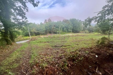 Helårsgrund i Ponte da Barca, Viana do Castelo, Ponte da Barca - € 130.000 | Ref: 126371012-211 - foto 22