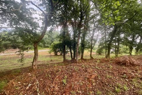 Helårsgrund i Ponte da Barca, Viana do Castelo, Ponte da Barca - € 130.000 | Ref: 126371012-211 - foto 23