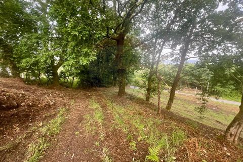Helårsgrund i Ponte da Barca, Viana do Castelo, Ponte da Barca - € 130.000 | Ref: 126371012-211 - foto 24