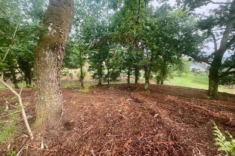 Helårsgrund i Ponte da Barca, Viana do Castelo, Ponte da Barca - € 130.000 | Ref: 126371012-211 - foto 27