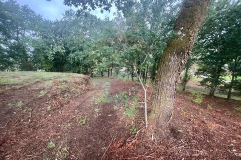 Helårsgrund i Ponte da Barca, Viana do Castelo, Ponte da Barca - € 130.000 | Ref: 126371012-211 - foto 28