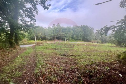 Helårsgrund i Ponte da Barca, Viana do Castelo, Ponte da Barca - € 130.000 | Ref: 126371012-211 - foto 29
