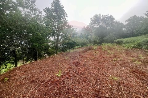 Helårsgrund i Ponte da Barca, Viana do Castelo, Ponte da Barca - € 130.000 | Ref: 126371012-211 - foto 32