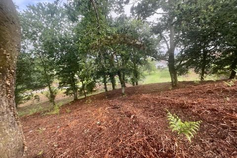 Helårsgrund i Ponte da Barca, Viana do Castelo, Ponte da Barca - € 130.000 | Ref: 126371012-211 - foto 33