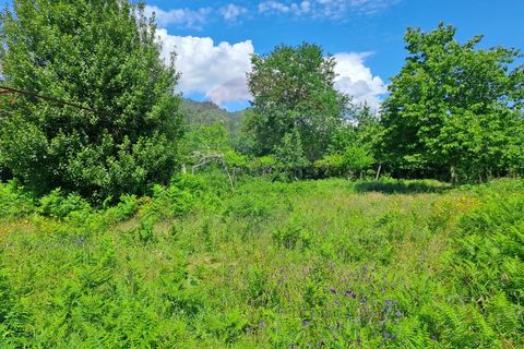 Helårsgrund i Arcos de Valdevez, Viana do Castelo, Arcos de Valdevez - € 58.000 | Ref: 1040-178 - foto 11