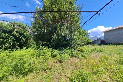 Helårsgrund i Arcos de Valdevez, Viana do Castelo, Arcos de Valdevez - € 58.000 | Ref: 1040-178 - foto 13