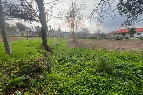 Helårsgrund i Ponte da Barca, Viana do Castelo, Ponte da Barca - € 55.000 | Ref: 126371012-204 - foto 1