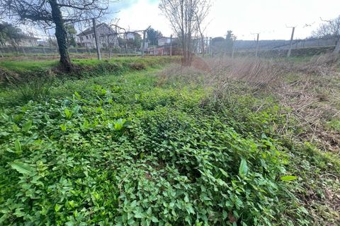 Helårsgrund i Ponte da Barca, Viana do Castelo, Ponte da Barca - € 55.000 | Ref: 126371012-204 - foto 2