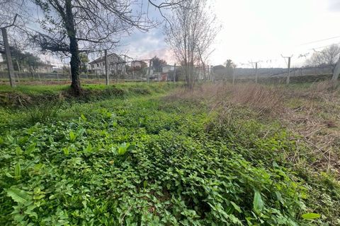 Helårsgrund i Ponte da Barca, Viana do Castelo, Ponte da Barca - € 55.000 | Ref: 126371012-204 - foto 3