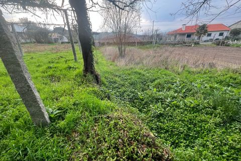 Helårsgrund i Ponte da Barca, Viana do Castelo, Ponte da Barca - € 55.000 | Ref: 126371012-204 - foto 5