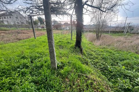 Helårsgrund i Ponte da Barca, Viana do Castelo, Ponte da Barca - € 55.000 | Ref: 126371012-204 - foto 6
