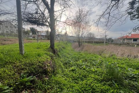 Helårsgrund i Ponte da Barca, Viana do Castelo, Ponte da Barca - € 55.000 | Ref: 126371012-204 - foto 8