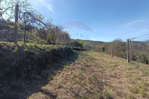 Villa i Arcos de Valdevez, Viana do Castelo, Arcos de Valdevez - € 135.000 | Ref: 126371005-123 - foto 13