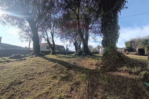 Landejendom i Ponte da Barca, Viana do Castelo, Ponte da Barca - € 15.000 | Ref: 126371005-74 - foto 3