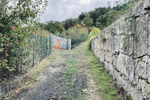 Helårsgrund i Ponte da Barca, Viana do Castelo, Ponte da Barca - € 15.000 | Ref: 1008-73 - foto 7