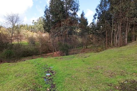Helårsgrund i Arcos de Valdevez, Viana do Castelo, Arcos de Valdevez - € 25.500 | Ref: 1040-131 - foto 3