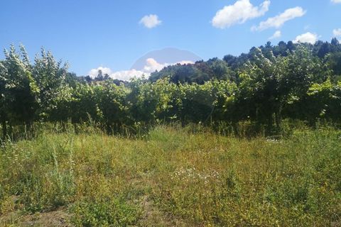 Helårsgrund i Arcos de Valdevez, Viana do Castelo, Arcos de Valdevez - € 82.000 | Ref: 1040-37 - foto 4