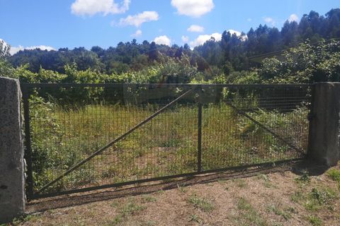 Helårsgrund i Arcos de Valdevez, Viana do Castelo, Arcos de Valdevez - € 82.000 | Ref: 1040-37 - foto 8