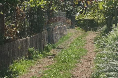 Helårsgrund i Arcos de Valdevez, Viana do Castelo, Arcos de Valdevez - € 82.000 | Ref: 1040-37 - foto 9