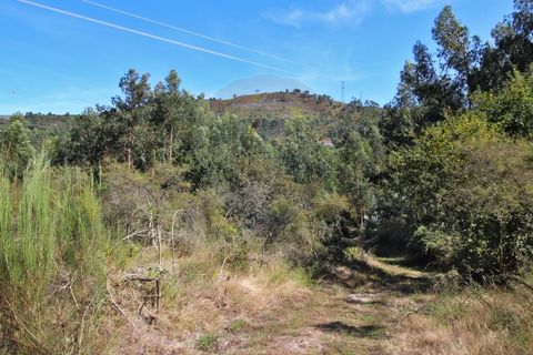 Helårsgrund i Arcos de Valdevez, Viana do Castelo, Arcos de Valdevez - € 8.000 | Ref: 1040-128 - foto 4