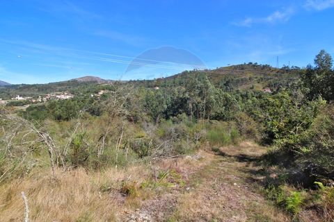 Helårsgrund i Arcos de Valdevez, Viana do Castelo, Arcos de Valdevez - € 8.000 | Ref: 1040-128 - foto 5