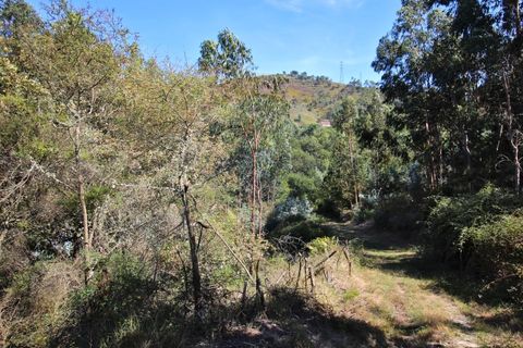 Helårsgrund i Arcos de Valdevez, Viana do Castelo, Arcos de Valdevez - € 8.000 | Ref: 1040-128 - foto 7