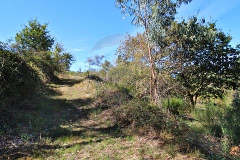 Helårsgrund i Arcos de Valdevez, Viana do Castelo, Arcos de Valdevez - € 8.000 | Ref: 1040-128 - foto 10