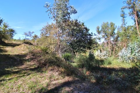 Helårsgrund i Arcos de Valdevez, Viana do Castelo, Arcos de Valdevez - € 8.000 | Ref: 1040-128 - foto 11