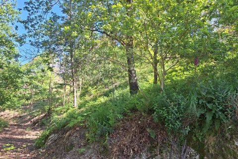 Helårsgrund i Arcos de Valdevez, Viana do Castelo, Arcos de Valdevez - € 45.000 | Ref: 1096-4 - foto 2