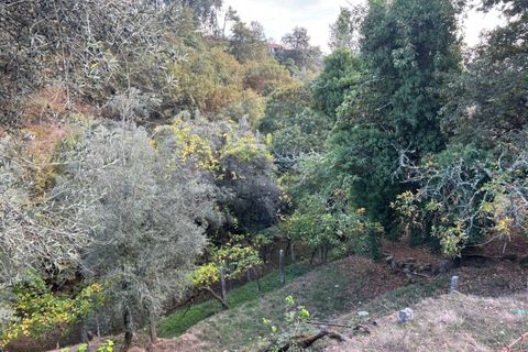 Helårsgrund i Arcos de Valdevez, Viana do Castelo, Arcos de Valdevez - € 14.500 | Ref: 1096-43 - foto 3