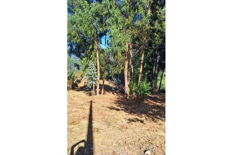 Helårsgrund i Arcos de Valdevez, Viana do Castelo, Arcos de Valdevez - € 17.000 | Ref: 1084-15 - foto 3