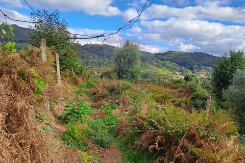 Helårsgrund i Arcos de Valdevez, Viana do Castelo, Arcos de Valdevez - € 20.000 | Ref: 1084-16 - foto 2