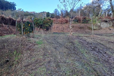 Helårsgrund i Arcos de Valdevez, Viana do Castelo, Arcos de Valdevez - € 47.000 | Ref: 1084-19 - foto 9