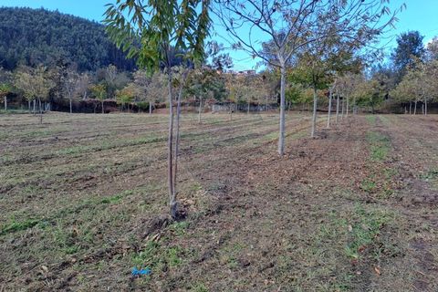 Helårsgrund i Arcos de Valdevez, Viana do Castelo, Arcos de Valdevez - € 47.000 | Ref: 1084-19 - foto 11