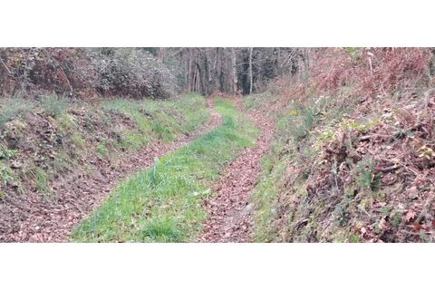 Helårsgrund i Arcos de Valdevez, Viana do Castelo, Arcos de Valdevez - € 46.000 | Ref: 123721084-65 - foto 4