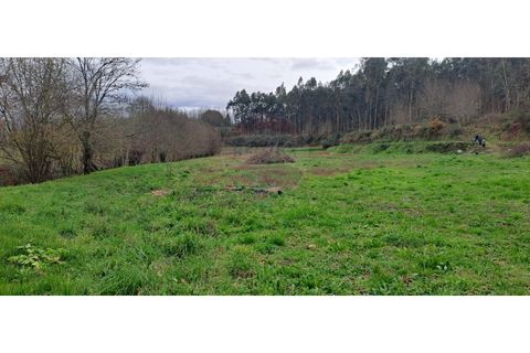 Helårsgrund i Arcos de Valdevez, Viana do Castelo, Arcos de Valdevez - € 46.000 | Ref: 123721084-65 - foto 6