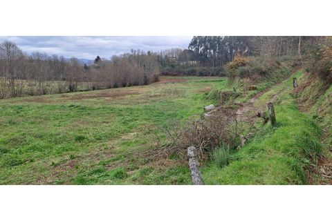 Helårsgrund i Arcos de Valdevez, Viana do Castelo, Arcos de Valdevez - € 46.000 | Ref: 123721084-65 - foto 9