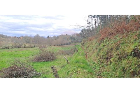Helårsgrund i Arcos de Valdevez, Viana do Castelo, Arcos de Valdevez - € 46.000 | Ref: 123721084-65 - foto 11